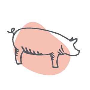 Porc